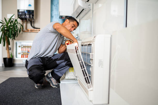 Best Home Air Vent Cleaning  in Everson, WA