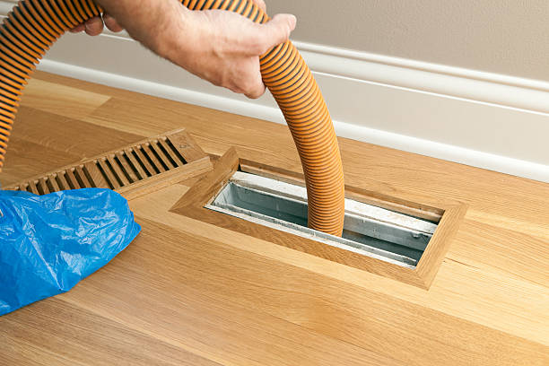 Best Local Air Duct Cleaning Services  in Everson, WA
