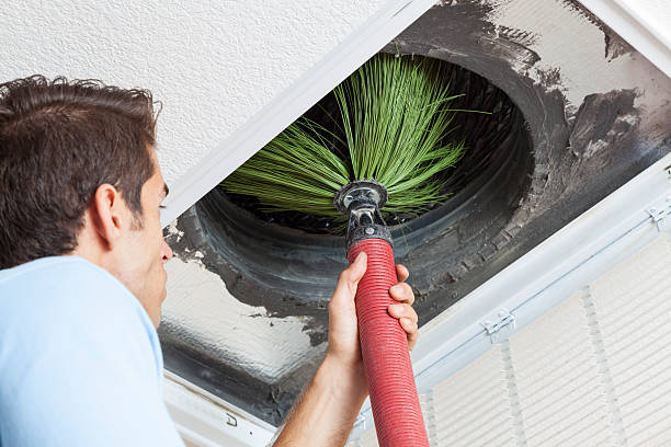 Best Air Vent Cleaning Services  in Everson, WA